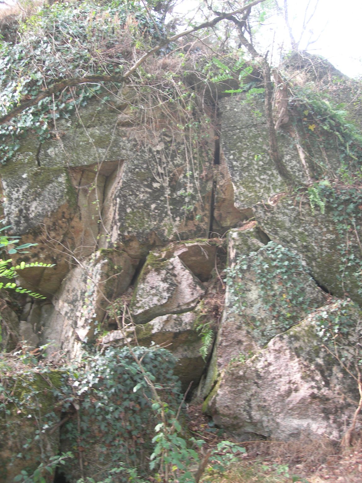 DSCN9184.JPG