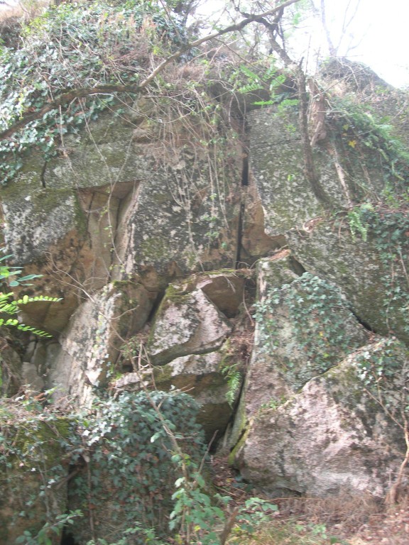 DSCN9184.JPG