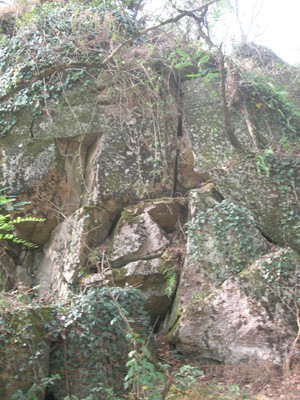 DSCN9184.JPG