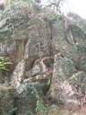 DSCN9184.JPG