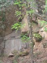 DSCN9185.JPG