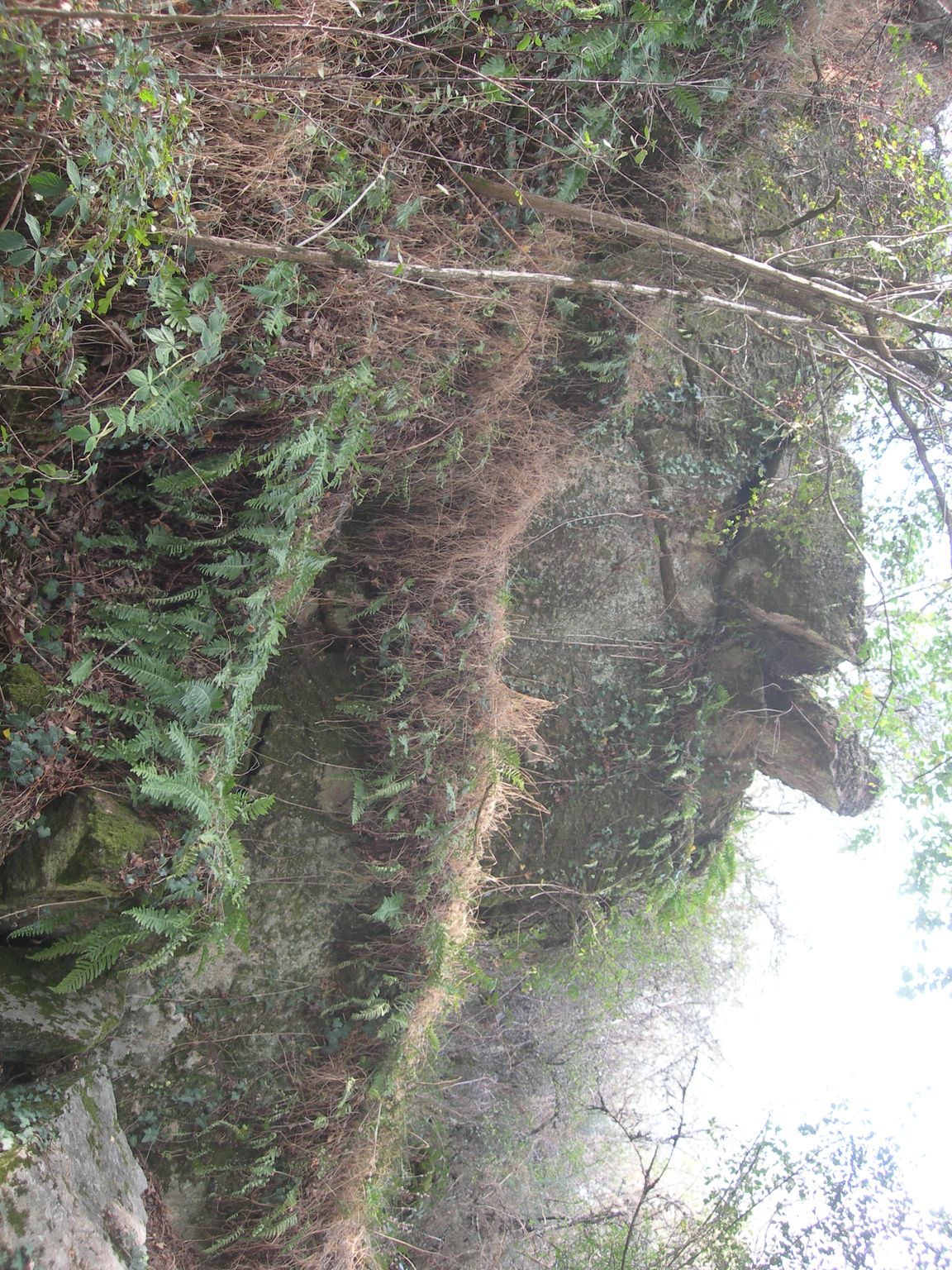 DSCN9186.JPG