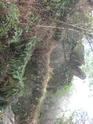 DSCN9186.JPG