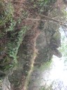 DSCN9186.JPG