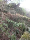 DSCN9187.JPG