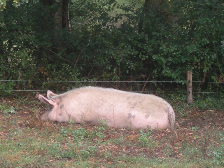 DSCN9203.JPG
