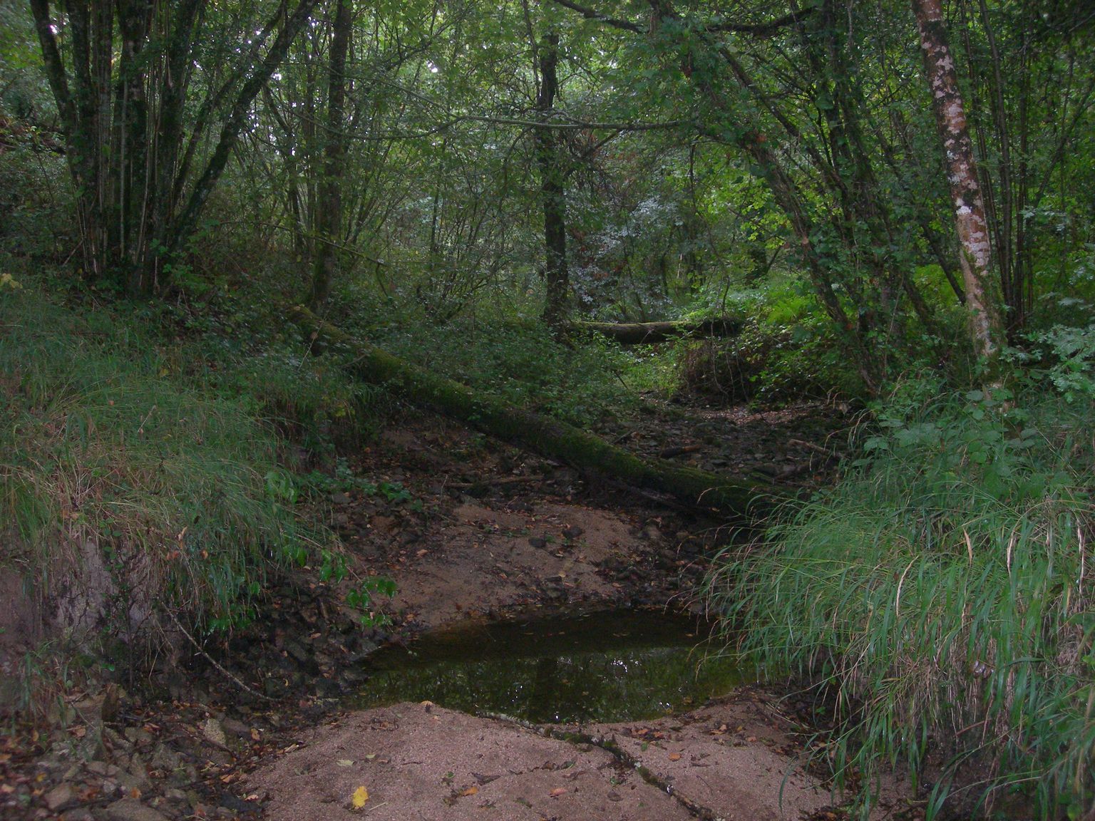 DSCN9206.JPG