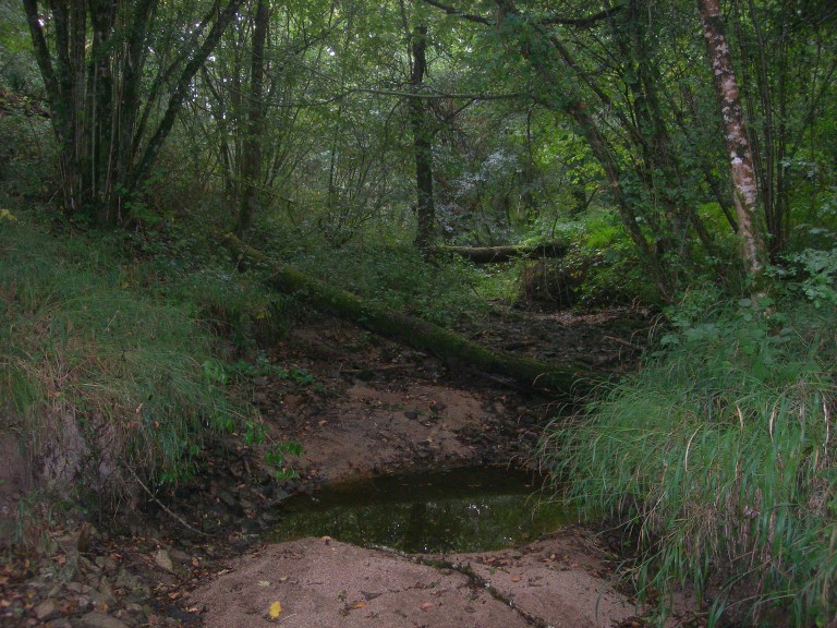 DSCN9206.JPG