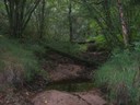 DSCN9206.JPG