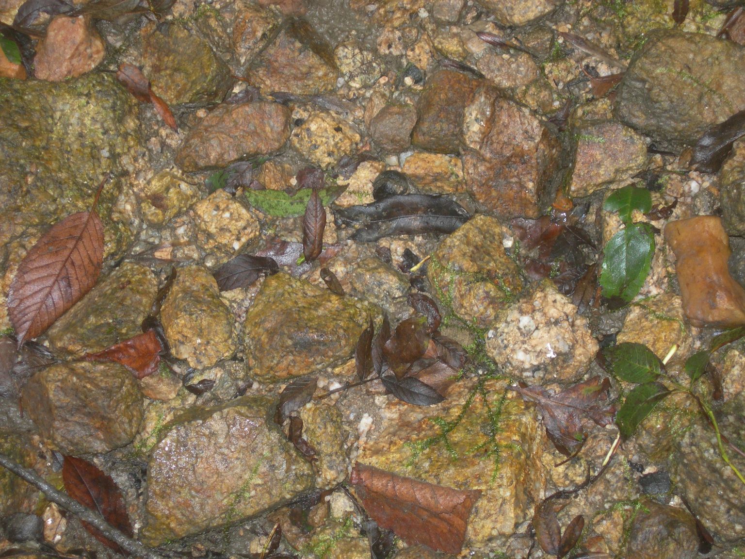 DSCN9209.JPG