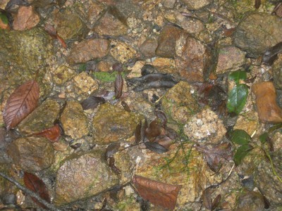 DSCN9209.JPG