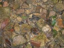 DSCN9209.JPG