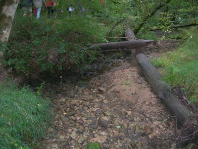 DSCN9211.JPG