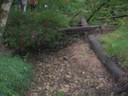 DSCN9211.JPG
