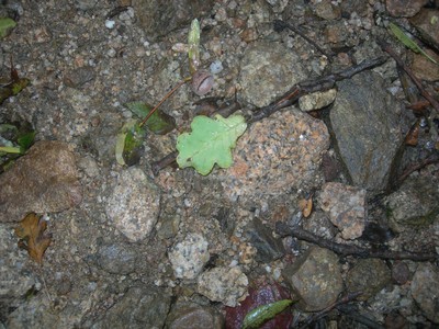 DSCN9213.JPG