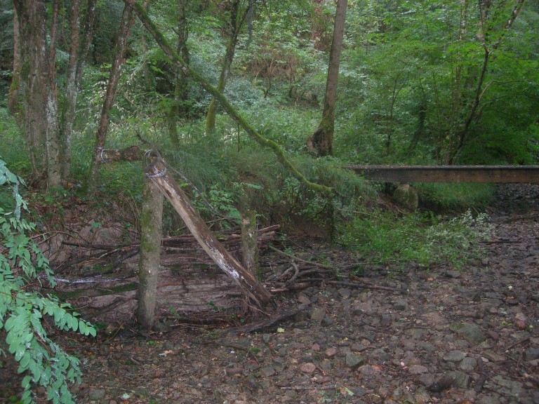 DSCN9214.JPG