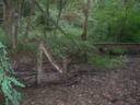 DSCN9214.JPG