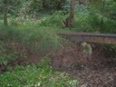 DSCN9215.JPG