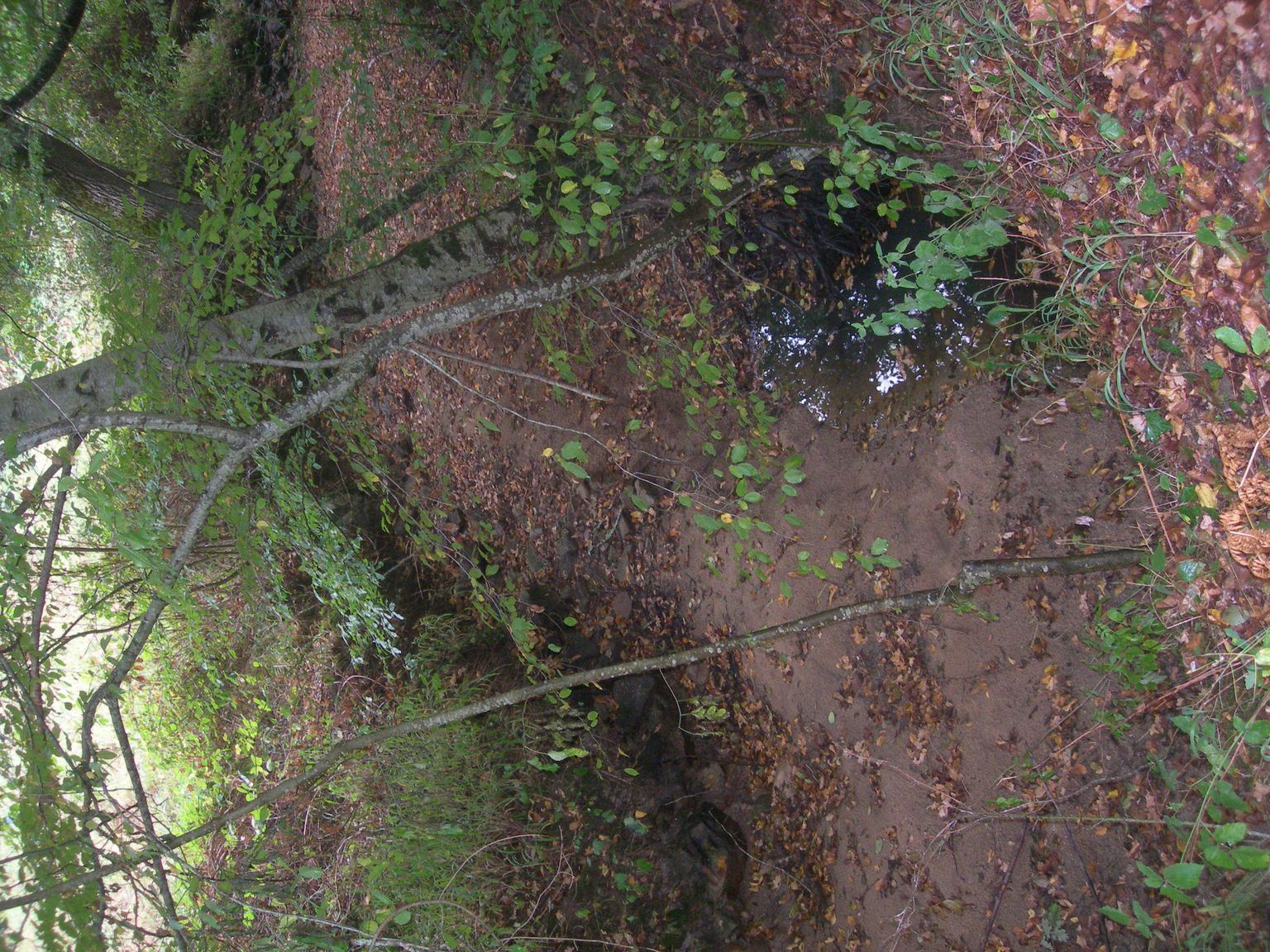 DSCN9216.JPG