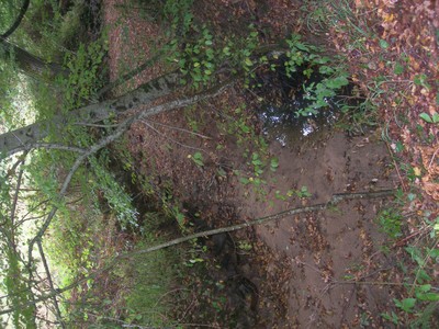 DSCN9216.JPG
