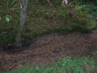 DSCN9217.JPG