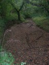 DSCN9218.JPG