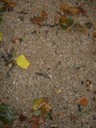 DSCN9219.JPG