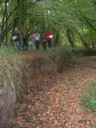 DSCN9220.JPG