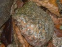 DSCN9221.JPG