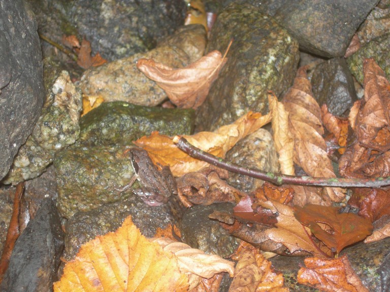 DSCN9222.JPG