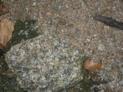 DSCN9223.JPG