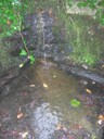 DSCN9225.JPG