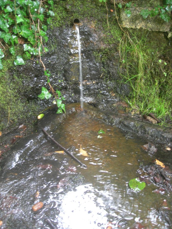 DSCN9226.JPG