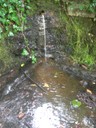 DSCN9226.JPG