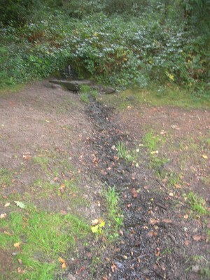 DSCN9227.JPG