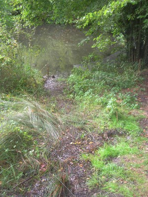 DSCN9228.JPG