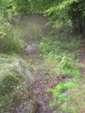 DSCN9228.JPG