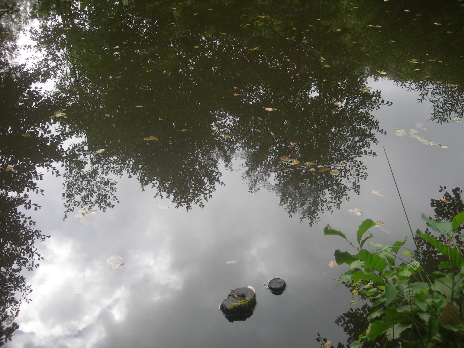DSCN9234.JPG