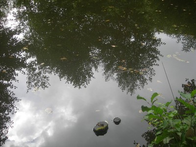 DSCN9234.JPG
