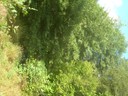 DSCN9238.JPG