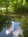 DSCN9239.JPG