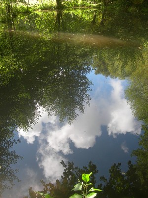DSCN9240.JPG