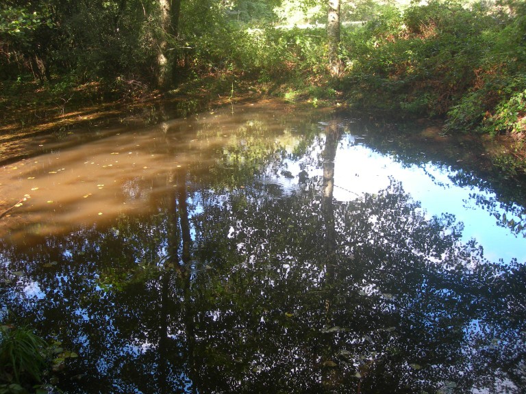DSCN9241.JPG