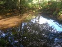 DSCN9241.JPG