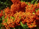 DSCN9259.JPG