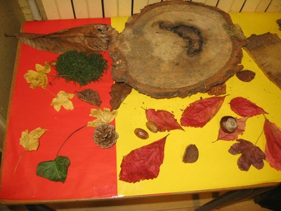 Objets naturls (1).JPG