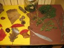 Objets naturls (2).JPG