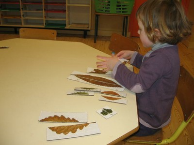 Puzzle Feuilles  Symetrie.JPG