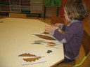 Puzzle Feuilles  Symetrie.JPG