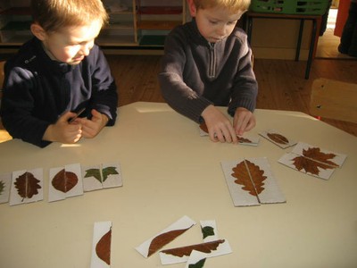 Puzzle Feuilles Symetrie (1).JPG